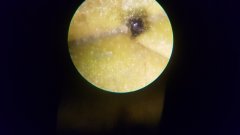 20180729_095233.jpg