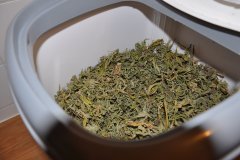 DSC_0028.JPG