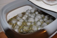 DSC_0029.JPG