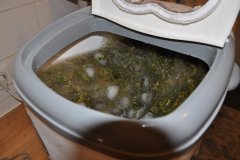 DSC_0030.JPG