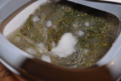 DSC_0032.JPG