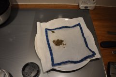 DSC_0040.JPG