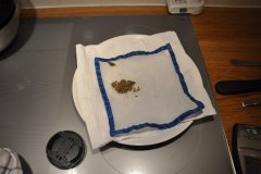 DSC_0041.JPG