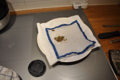 DSC_0042.JPG