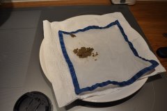 DSC_0043.JPG