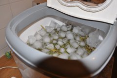 DSC_0045.JPG
