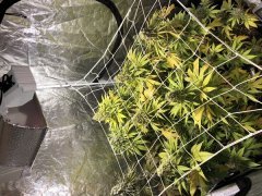 IMG_0046.jpg