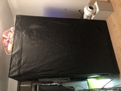 IMG_0259.jpg