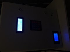 IMG_0261.jpg