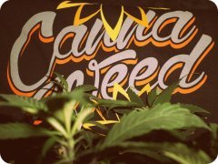 cannaweed