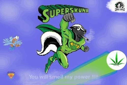 superskunksensiseeds.JPG