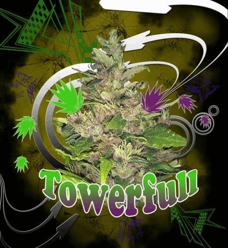 towerfull.JPG