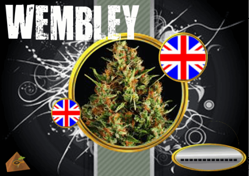 wembley.PNG