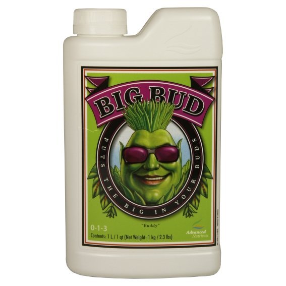 Big Bud