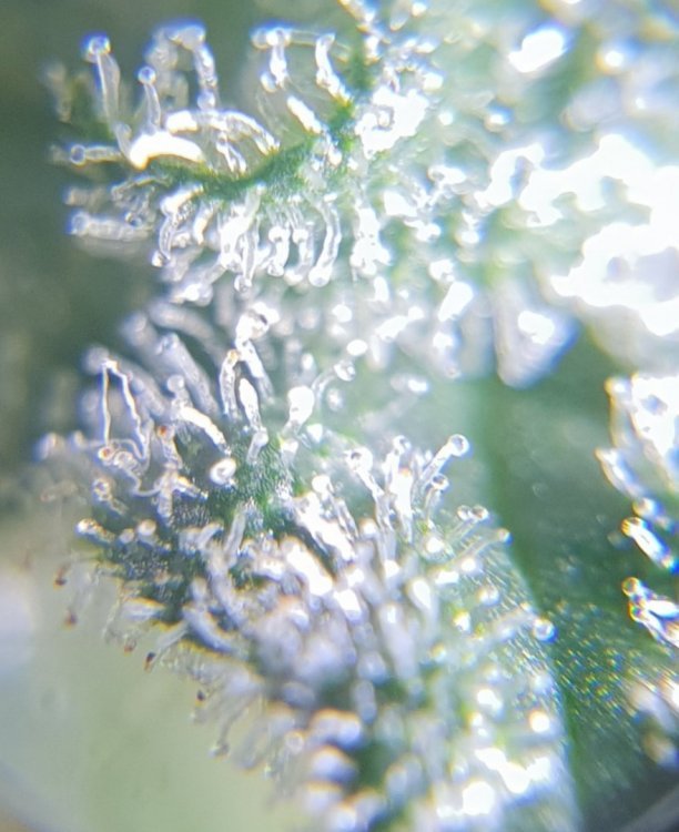 20180815_124957.jpg
