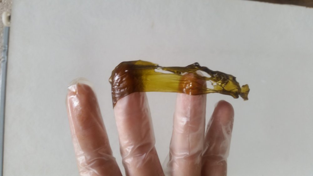 20180815_143640.thumb.jpg.25c0450a389e2c51c224a08711d9405d.jpg