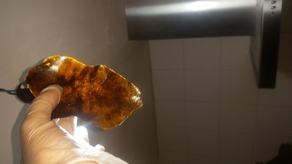 20180815_231203.thumb.jpg.8f0b11f64af122e8afbfe3a2c23c7b87.jpg