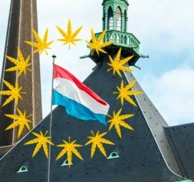 Luxembourg - «Il faut arrêter l’hypocrisie liée au cannabis»