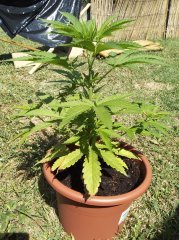 IMG_20180805_121508846~2.jpg