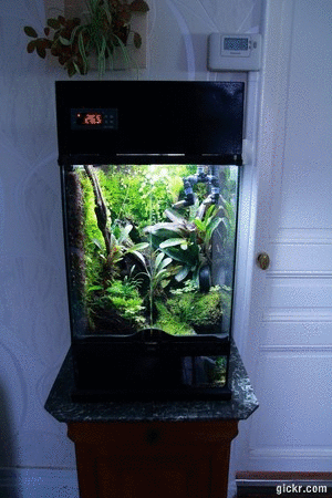 944280gickrcom6cb96e70a1afc1e401f5a7fab546d9c8.gif.75cc19e94748eee2268be2afbe88b685.gif