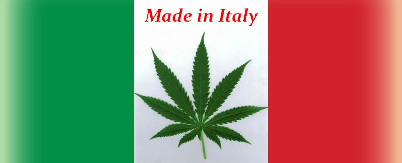 L’Italie va ouvrir la production de cannabis médical au secteur privé