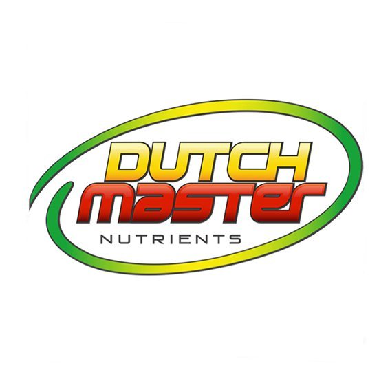 Dutch Master