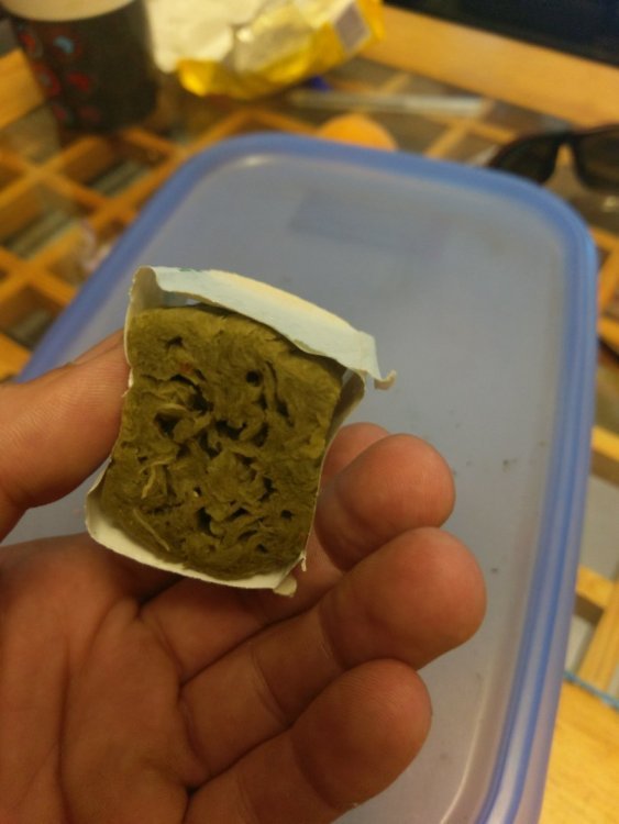 IMAG0471.jpg