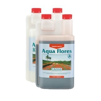 Aqua Flores