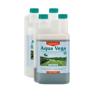 Aqua Vega