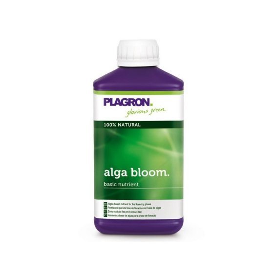 Alga Bloom