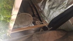 20180801_073153.jpg