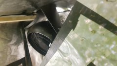 20180801_073158.jpg