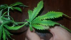 20180801_074014.jpg