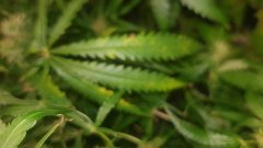 20180801_074256.jpg