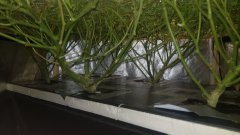 20180801_082045.jpg