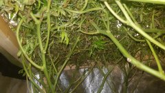 20180801_082057.jpg