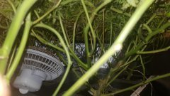 20180801_082455.jpg