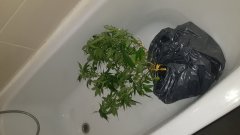 20180802_164640.jpg