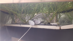 20180804_090540.jpg