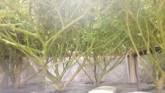 20180816_090245.jpg