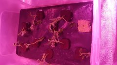 20180823_125801.jpg