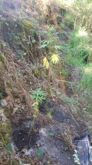 20180826_100944.jpg