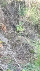 20180826_100953.jpg