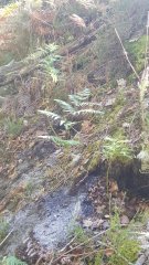 20180826_101951.jpg