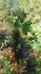 20180826_102011.jpg