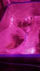 20180826_232635.jpg