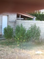 IMG_20180713_195438.jpg