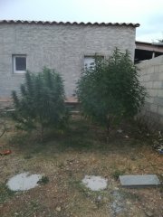 IMG_20180730_203208.jpg