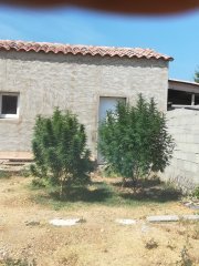 IMG_20180807_151327