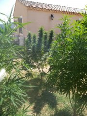 IMG_20180807_151539